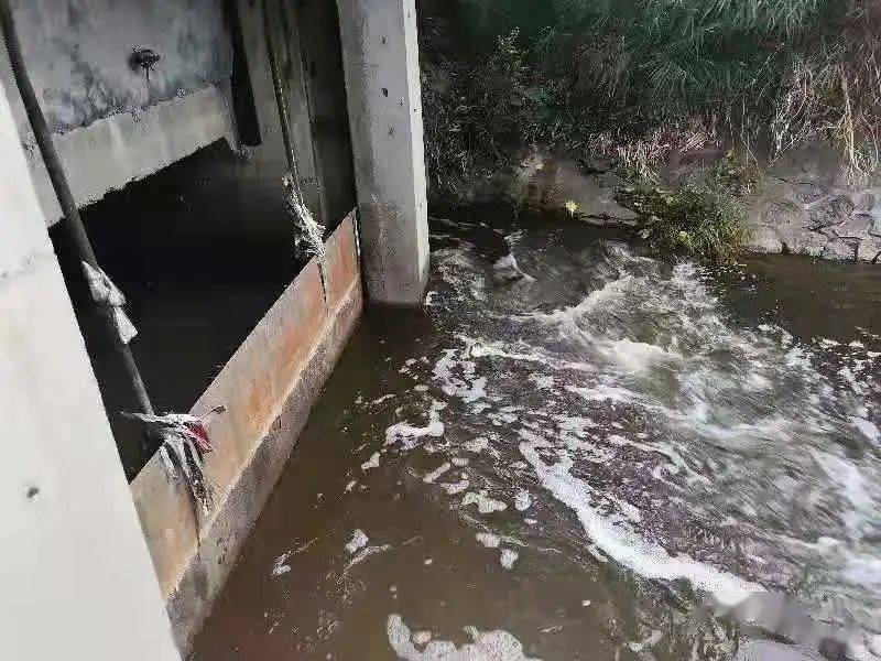 生物毒性檢測(cè)儀可以檢測(cè)什么？