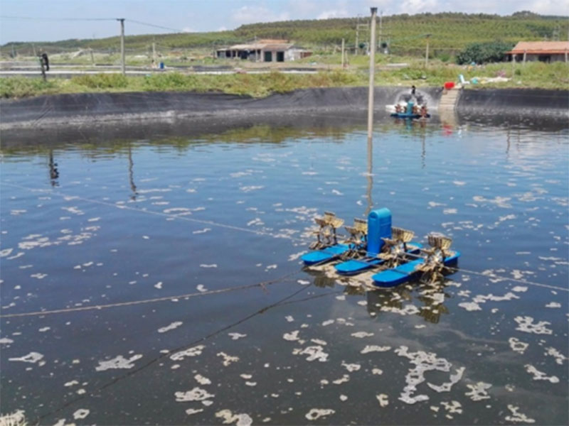水中亞硝酸鹽含量過高對(duì)養(yǎng)殖有什么影響 水中亞硝酸鹽含量過高對(duì)養(yǎng)殖有什么影響