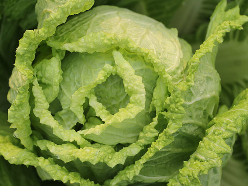 怎樣可以檢測小白菜中農(nóng)藥殘留是否超標(biāo)