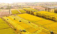 蔬菜農(nóng)藥殘留檢測儀怎么樣？