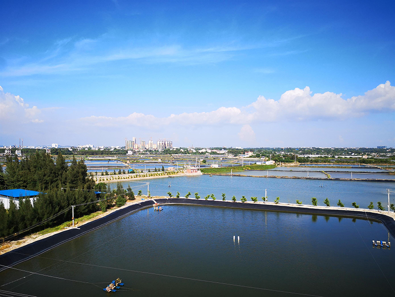 水產養殖殘藥檢測儀