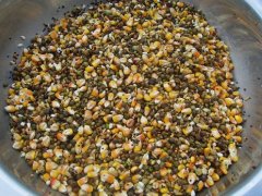 真菌毒素對(duì)人和動(dòng)物有極大的危害！